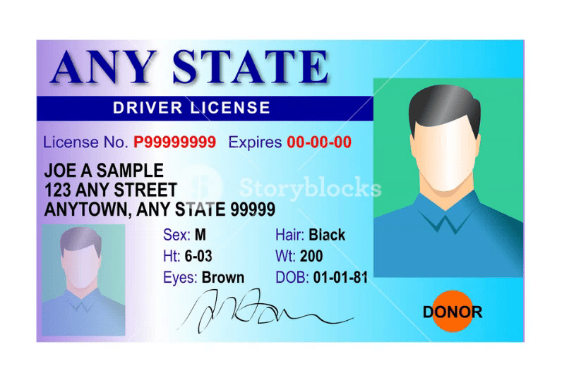 Example Drivers License